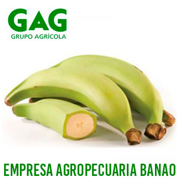 Compra de Todo | Tienda online de alimentos y productos variados en Cuba