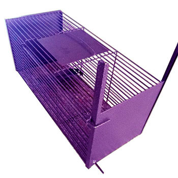 Trampa electrosoldada color morado para cazar roedores de 240x240x600 mm