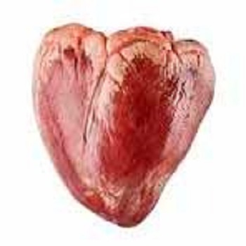 Corazón de Res (1 kg)